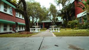 scottburgh primary school is near to pearly shells apartments